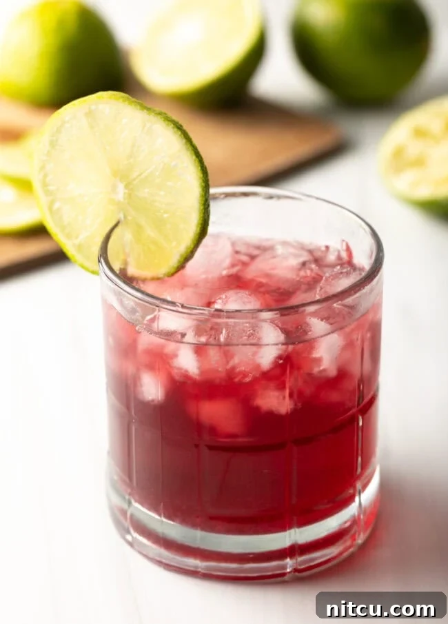 Close-up view of a vibrant Transfusion cocktail garnished with fresh lime slices.