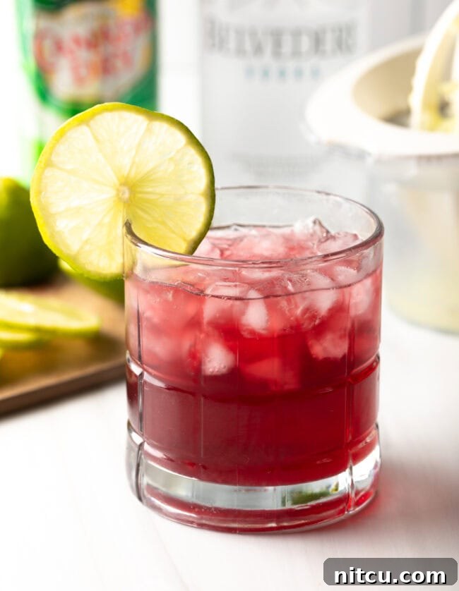 Close-up view of a classic Transfusion drink garnished with a single lime slice, highlighting its inviting color.