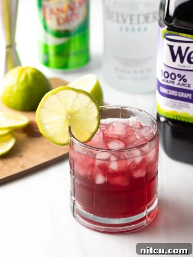 Full shot of a freshly prepared Transfusion drink, garnished with a lime wheel, with ingredients artfully blurred in the background.