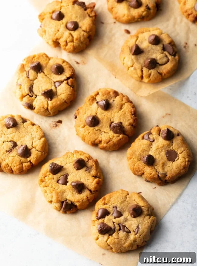 Six perfectly baked chocolate chip cookies arranged on parchment paper, fresh from the air fryer.