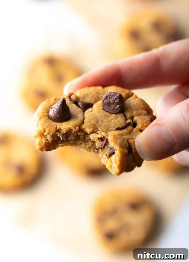 A hand holding a freshly baked peanut butter chocolate chip cookie with a bite taken out, revealing its soft interior.