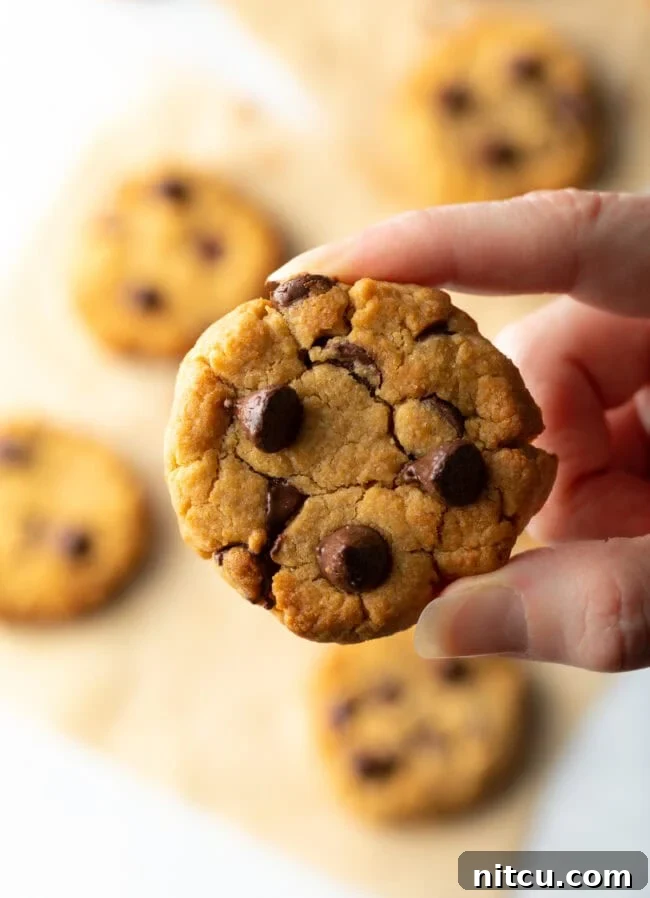 A hand gently holding a small, freshly baked air fryer cookie, showcasing its golden-brown exterior and delicious texture.