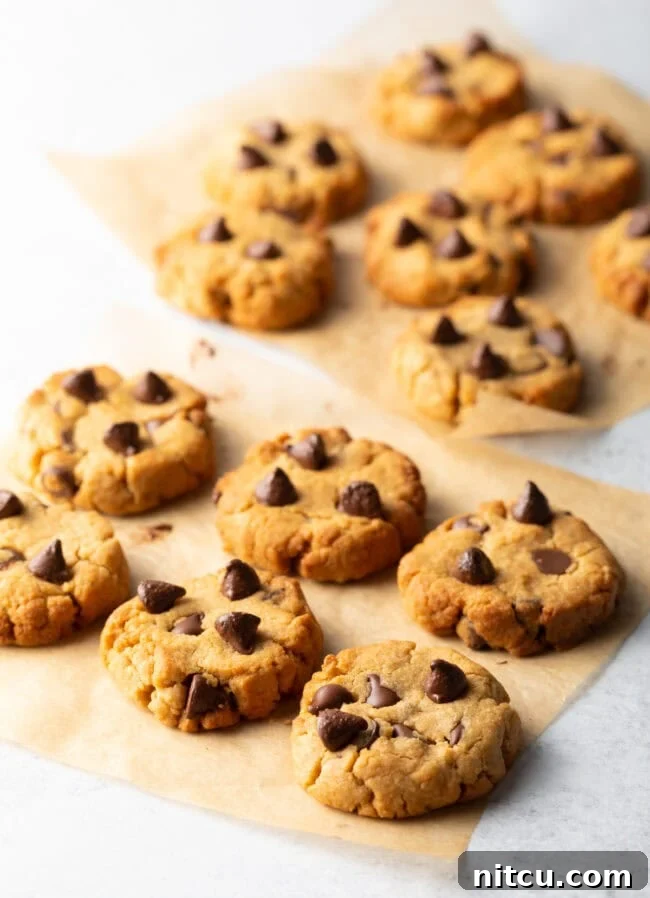A batch of air fryer chocolate chip cookies, freshly baked and golden brown on parchment paper.