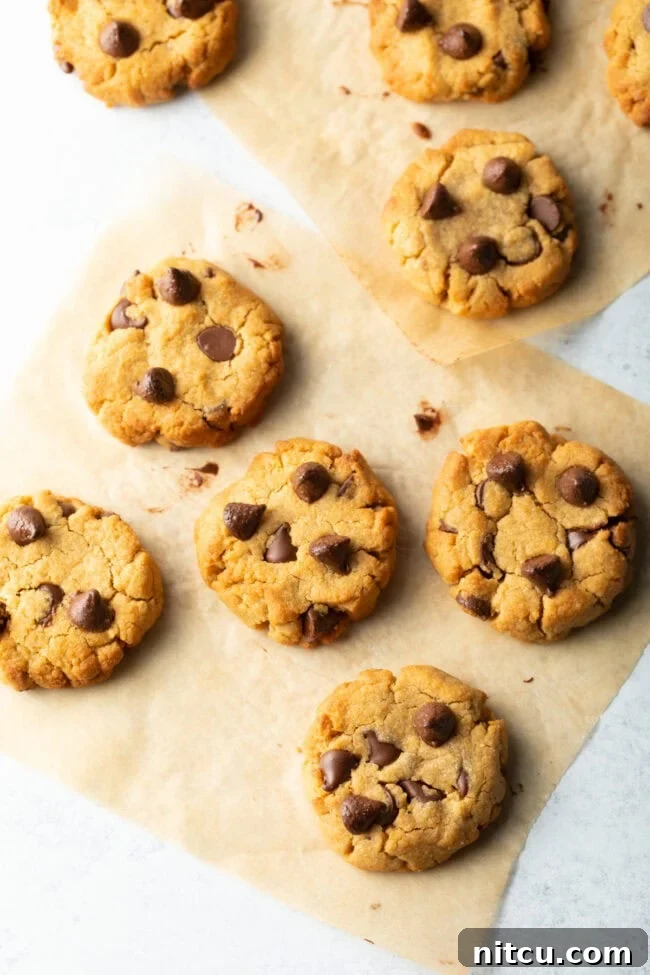 A top-down view of peanut butter chocolate chip cookies, fresh from the air fryer, showing their inviting texture.