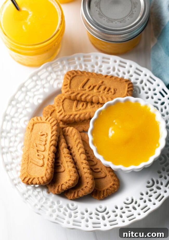 Top down view of plate with cookies and dish of fruit curd. A beautifully arranged top-down shot showing a selection of cookies alongside a small bowl of vibrant orange fruit curd. The warm hues of the cookies complement the bright citrus, creating an inviting scene.