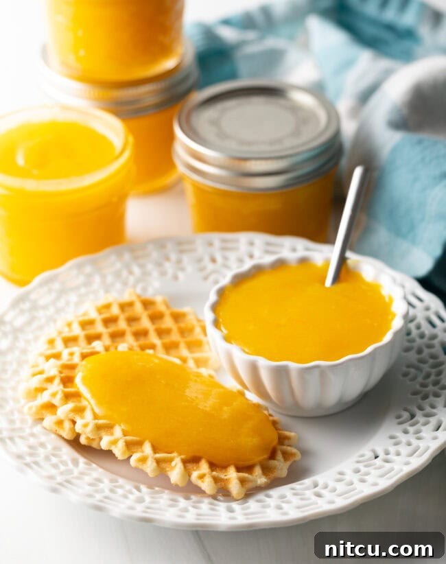 Plate with cookies, one with orange curd on top, and little bowl of curd in the background. A beautifully composed shot featuring a plate of assorted cookies, one generously topped with golden orange curd, and a small bowl of the curd in the background. This image showcases a tempting serving suggestion for the versatile spread.
