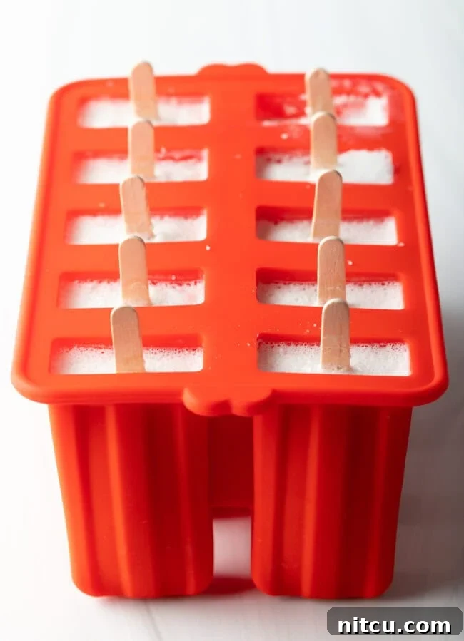 A frozen popsicle mold with the lid removed, revealing the perfectly set coconut ice pops.