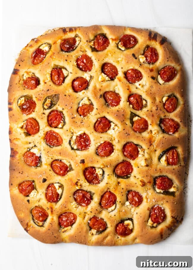 Top down view focaccia with tomatoes, basil, and cheese.