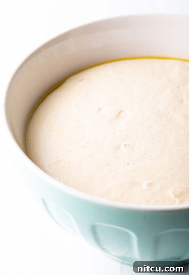 Dough proofing in a large bowl.