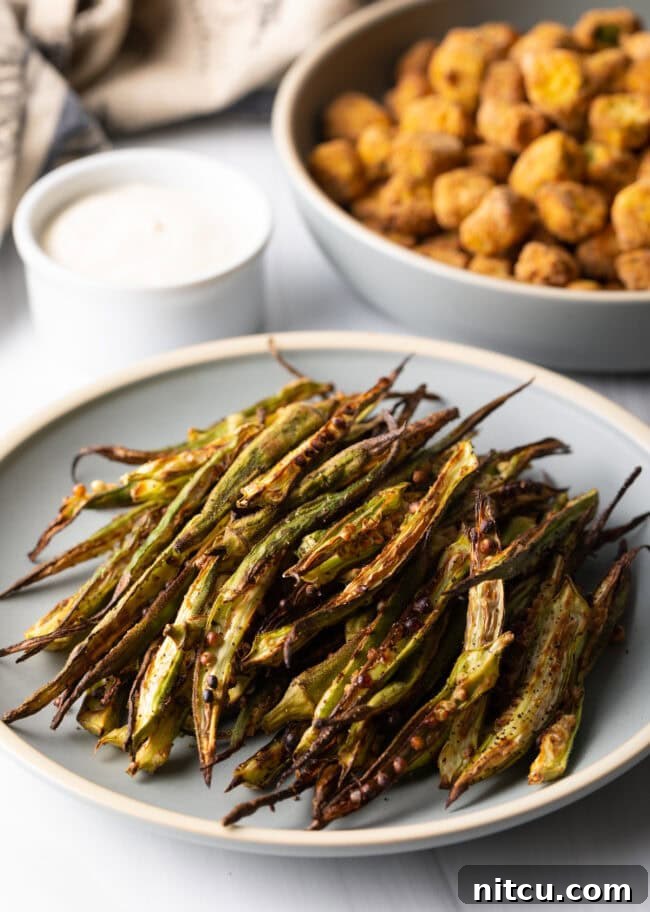 Plate of okra fries.