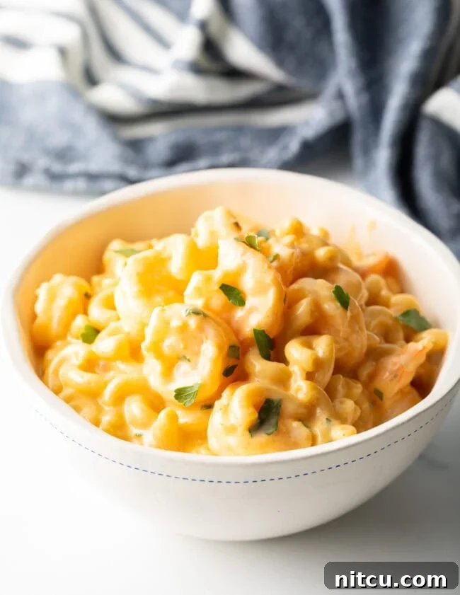 Closeup of a bowl of shrimp with macaroni and cheese, garnished with fresh parsley.