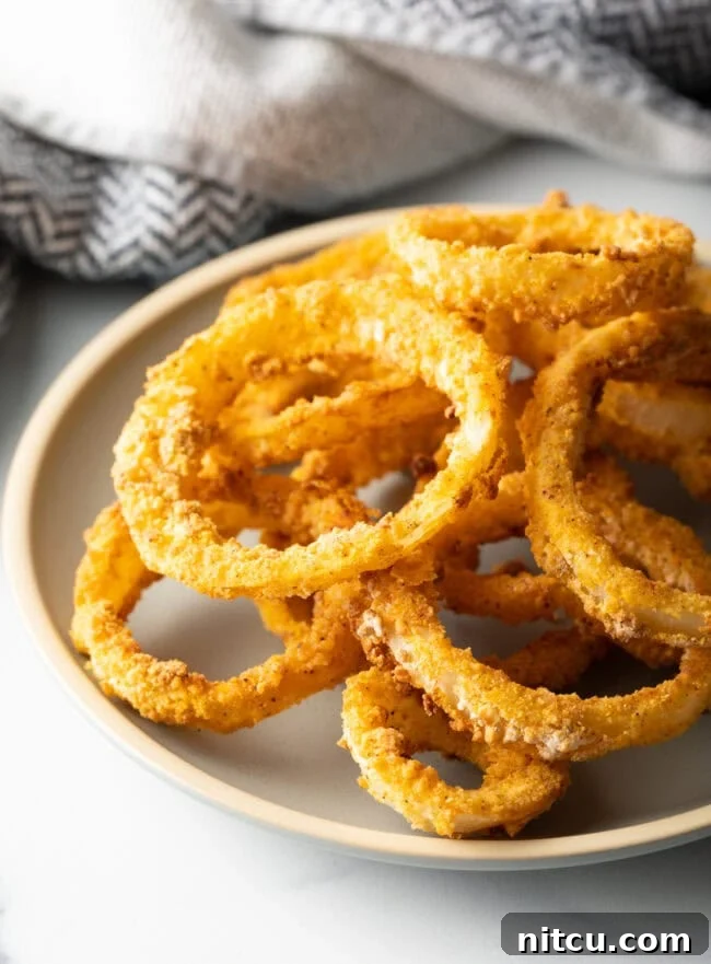 Plate with fresh air fryer onion rings.