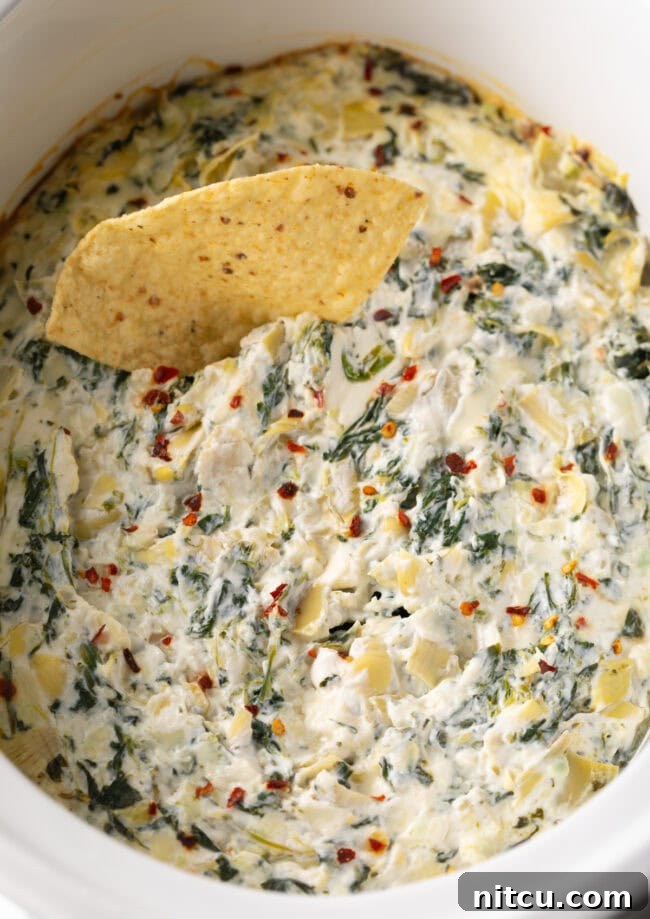 Close view spinach artichoke dip in slow cooker, one tortilla chip stuck in.