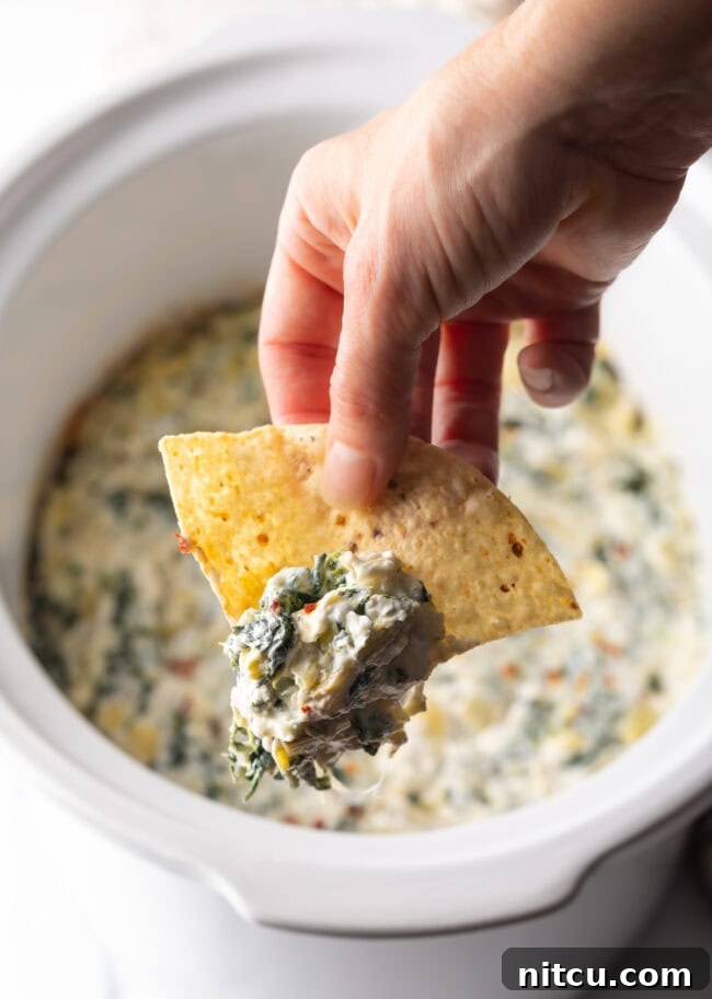 Hand with tortilla chip showing scoop of crockpot spinach and artichoke dip to camera.