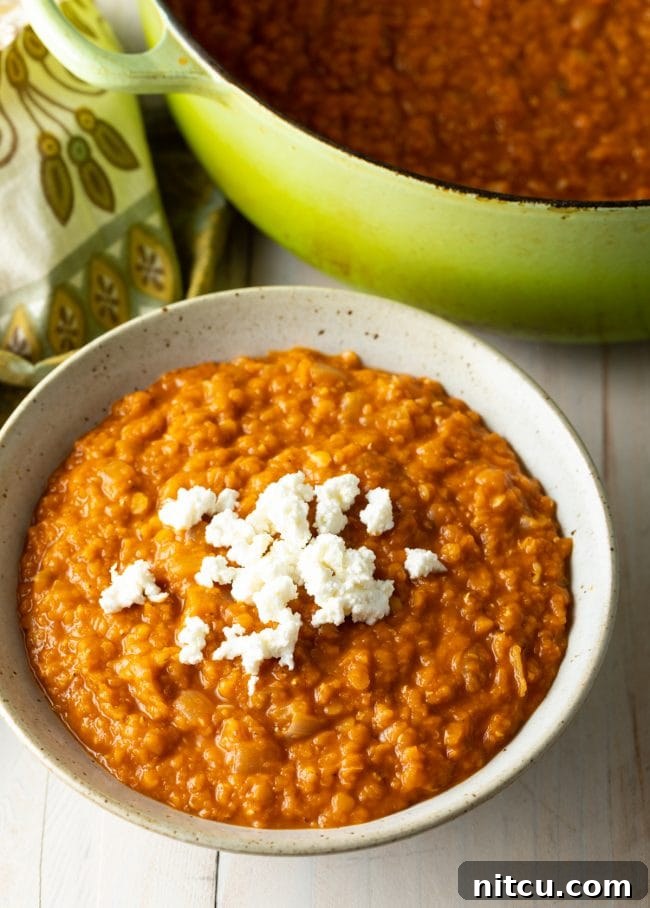 A bowl of vibrant red lentil stew (Misir Wot) crowned with a dollop of fresh Ayib cheese, ready to be served and enjoyed.