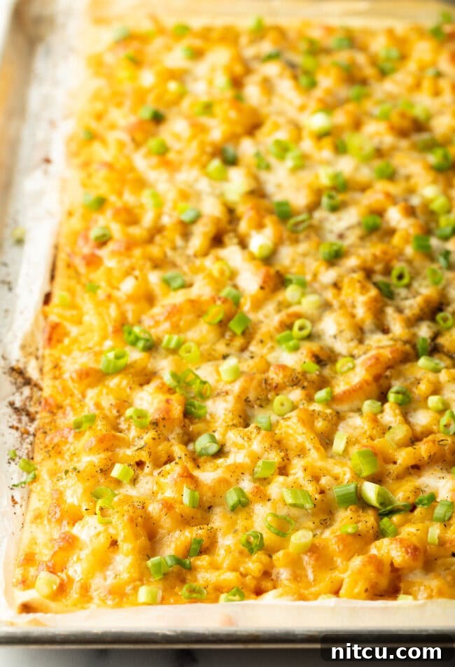 Whole baked cheesy macaroni pizza.