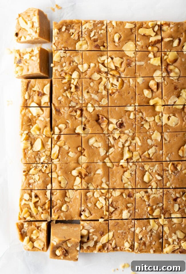 Top-down view of maple fudge perfectly cut into small, uniform squares, ready for serving or packaging.