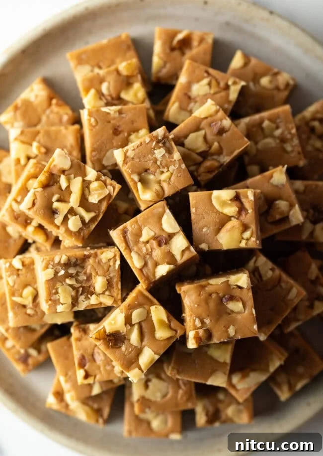 Top-down view of beautifully arranged maple fudge squares on a pristine plate, showcasing their perfect shape and inviting golden-brown hue.