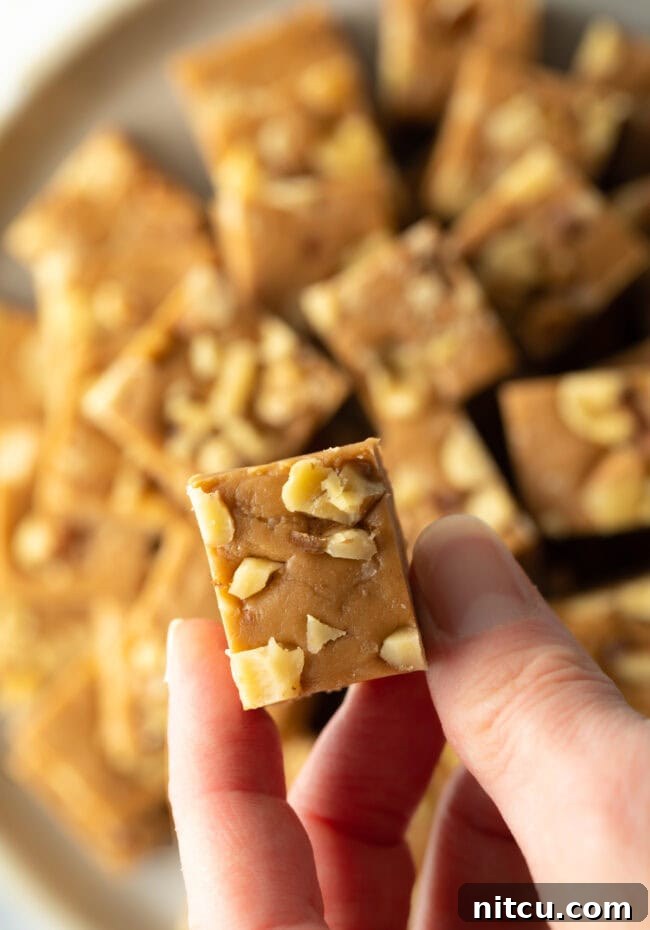 A hand holds a perfect piece of homemade maple walnut fudge, showcasing its density and the embedded walnuts.