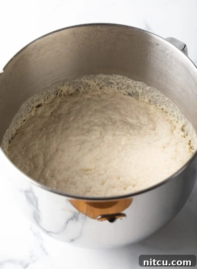 Wet, sticky dough resting in a metal mixing bowl, ready to rise.