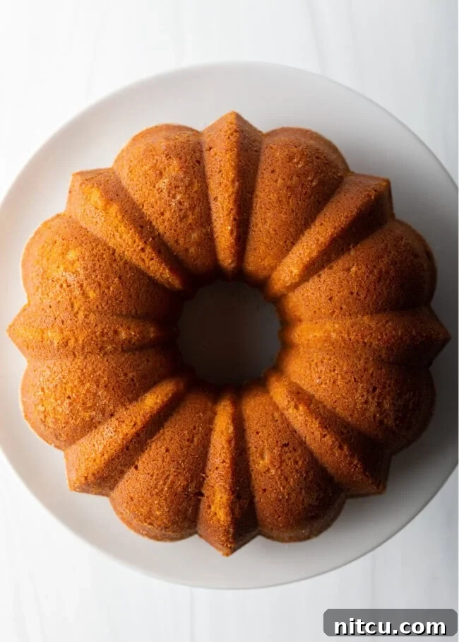 Top-down view of a beautifully baked sweet potato cake in a traditional Bundt pan, ready for cooling.