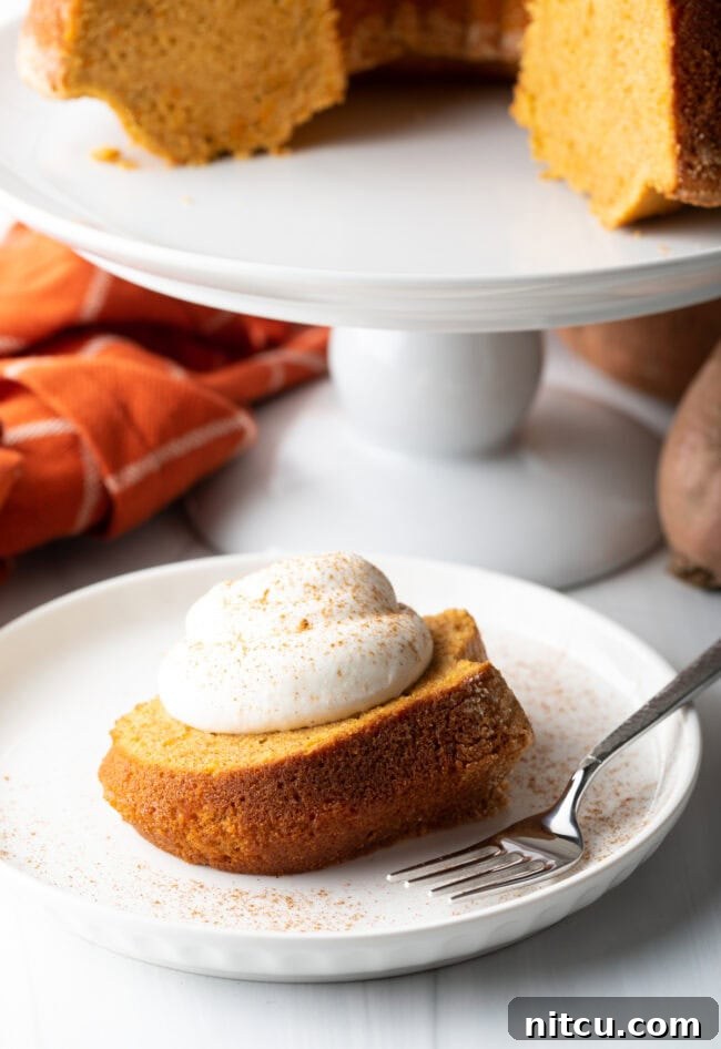 A beautiful slice of sweet potato cake resting on a white plate with a fork, elegantly topped with whipped cream and a sprinkle of cinnamon.