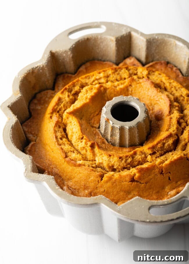 A perfectly baked sweet potato cake still in its Bundt pan, showing its rich golden-brown exterior.