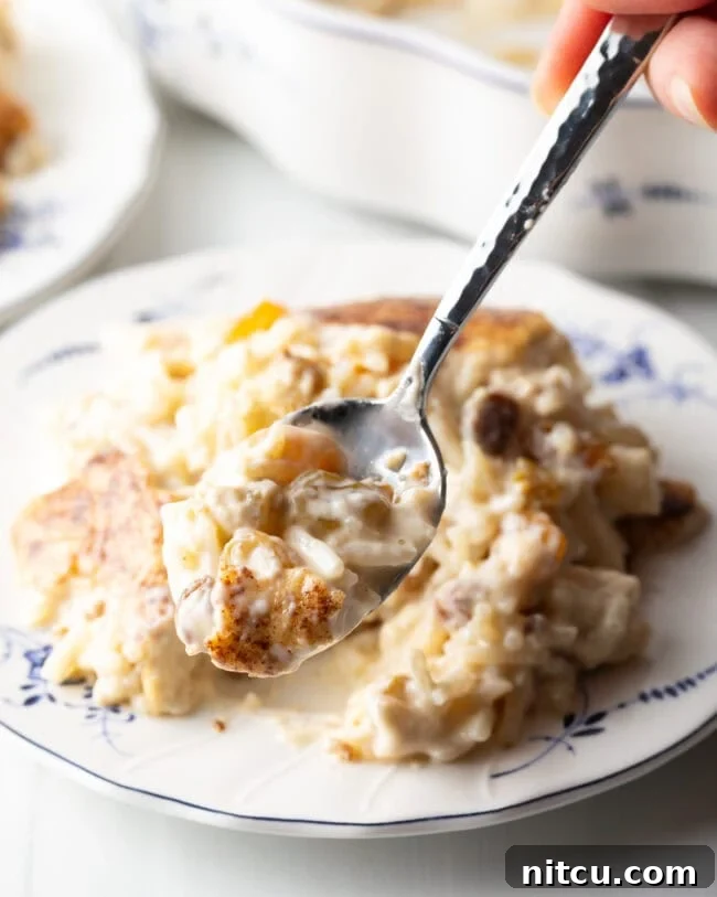 A metal spoon, perfectly laden with a creamy, raisin-studded bite of baked rice pudding, poised to be savored.