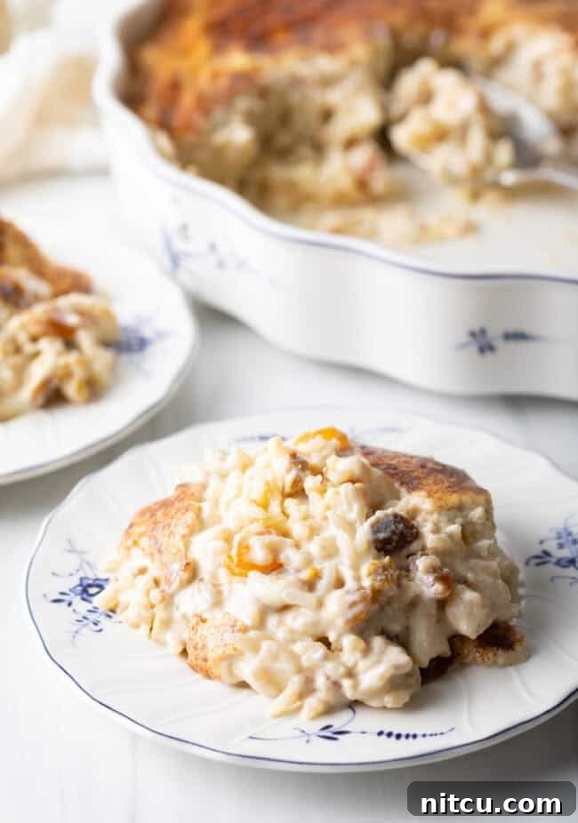 Close-up view of a perfectly plated serving of creamy rice dessert with plump raisins on a white dish, ready for enjoyment.