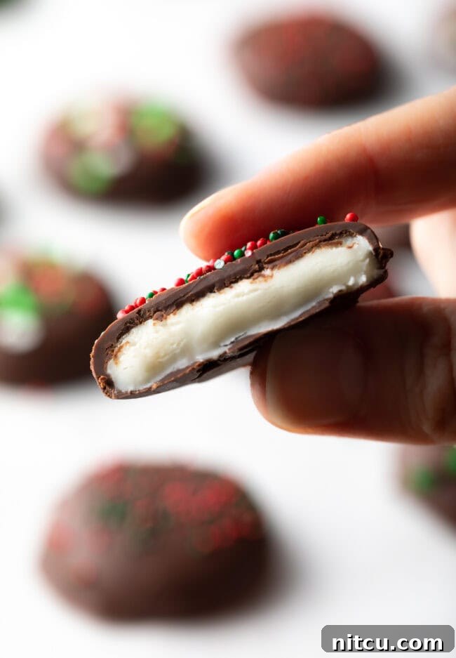 Hand holding homemade peppermint patty bitten in half to camera.