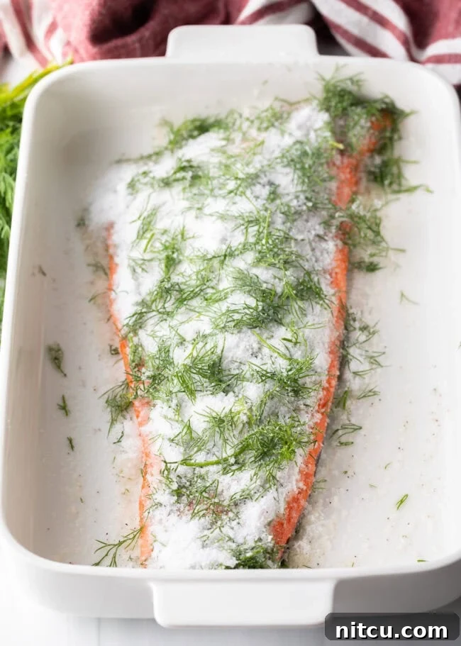 Salmon fillet in a baking dish covered in curing ingredients, ready for the pressing stage.