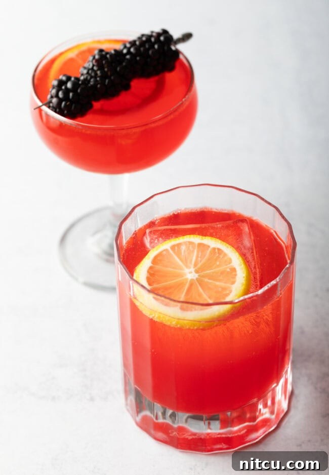 Two vibrant pink Sloe Gin Fizz cocktails, one elegantly served in a martini glass garnished with fresh berries, and the other in a short rocks glass with a lemon slice, highlighting their refreshing appeal.