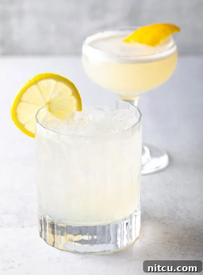 Two pristine classic clear Gin Fizz drinks, elegantly garnished with lemon twists, showcasing their refreshing clarity and simplicity.