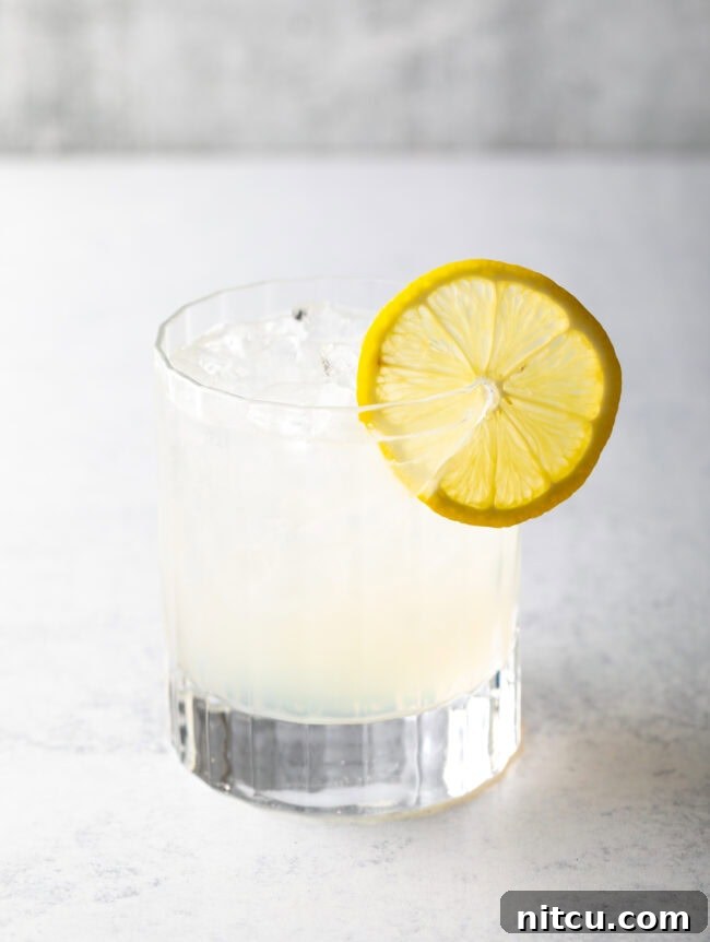 A classic Gin Fizz cocktail served in a tall highball glass, featuring a clear, effervescent liquid with a slice of lemon as garnish, embodying its refreshing simplicity.