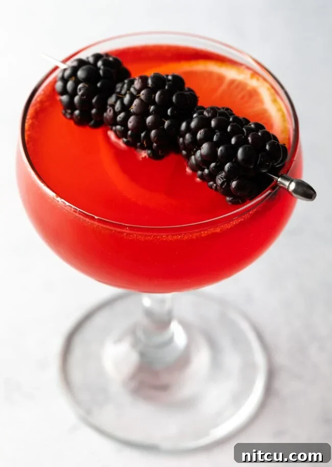 A close-up view of a beautifully prepared Sloe Gin Fizz in a martini glass, garnished with a skewer of fresh berries, showcasing its attractive color and elegant presentation.