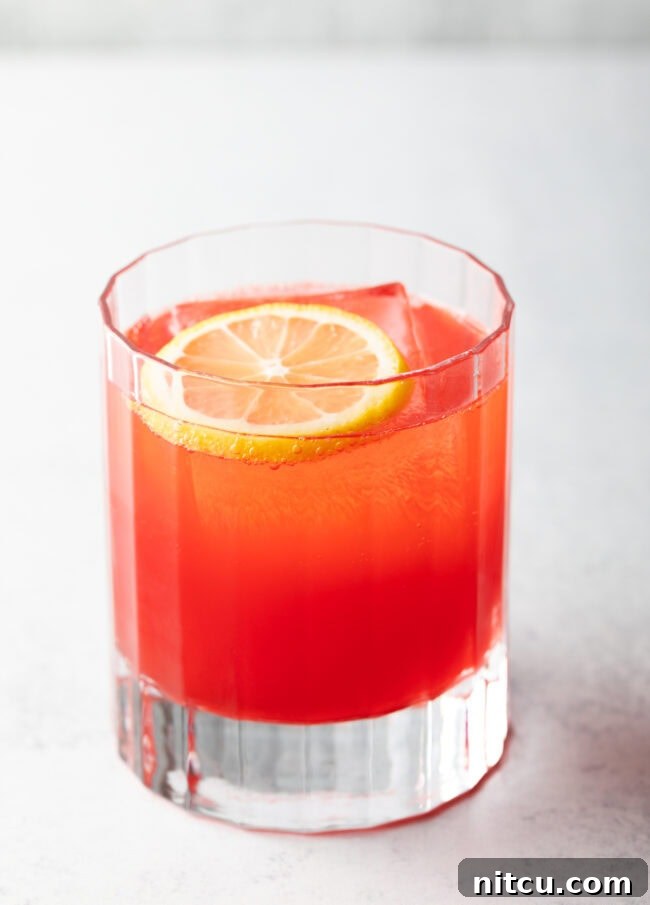 A highball glass filled with a Sloe Gin Fizz, garnished with a lemon slice, highlighting its refreshing and inviting appearance.