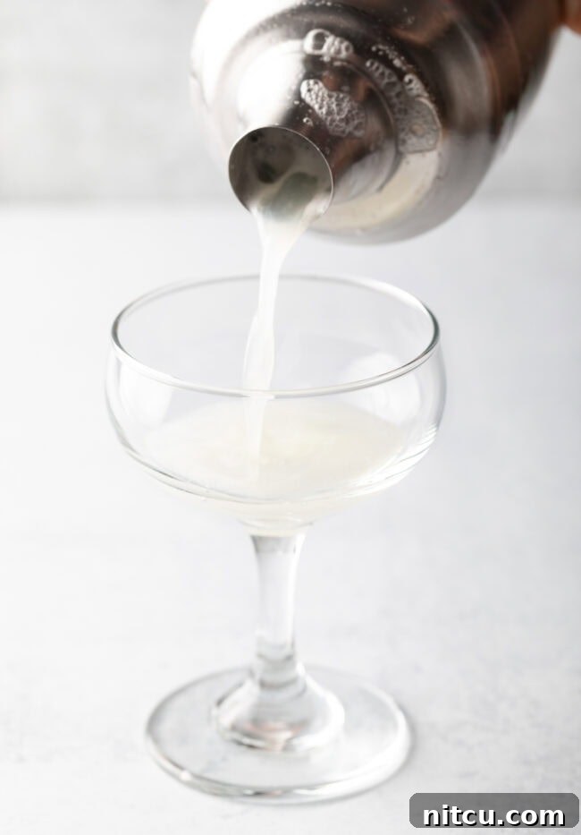 A metal shaker glass pouring a clear, frothy liquid into a martini glass, demonstrating the delicate act of serving a classic Gin Fizz.