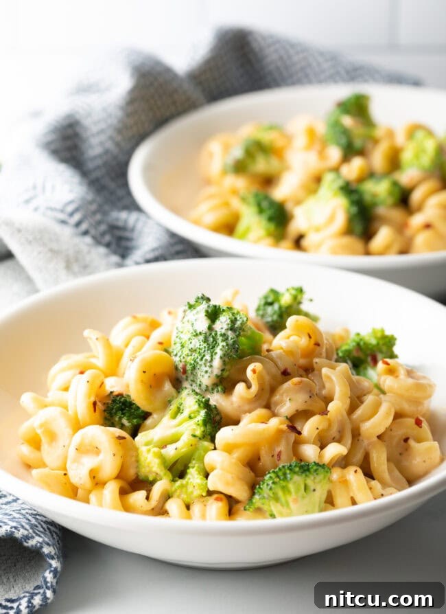 Two bowls of pasta with creamy sauce and broccoli.