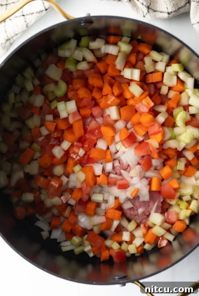 Top down view of consomme ingredients in a pot.