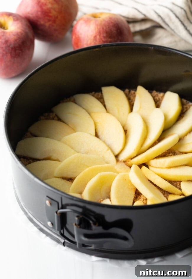 Slices of apple arranged in a spiral shape inside a springform baking pan.