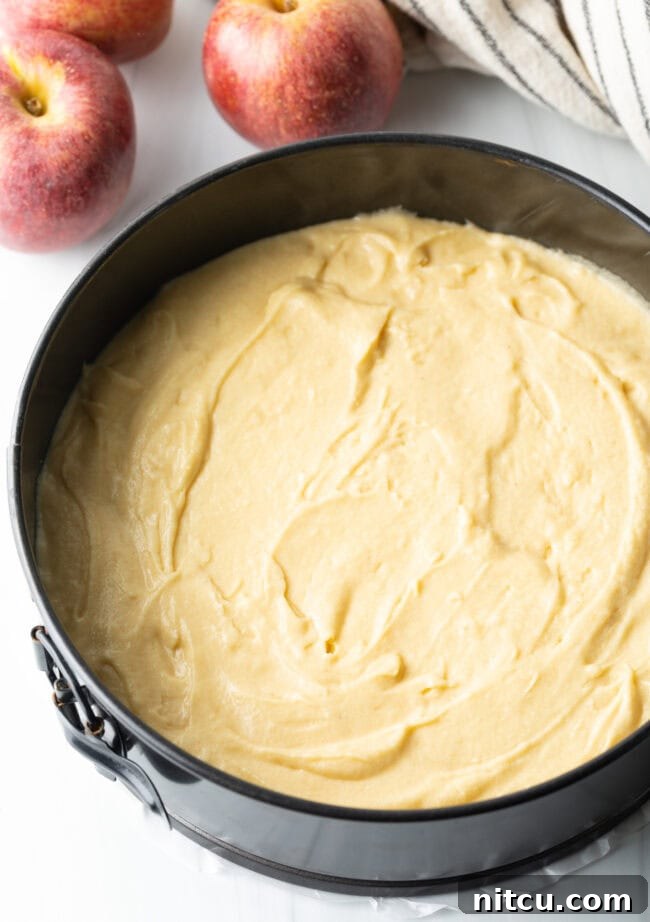 Cake batter spread in a springform baking pan.