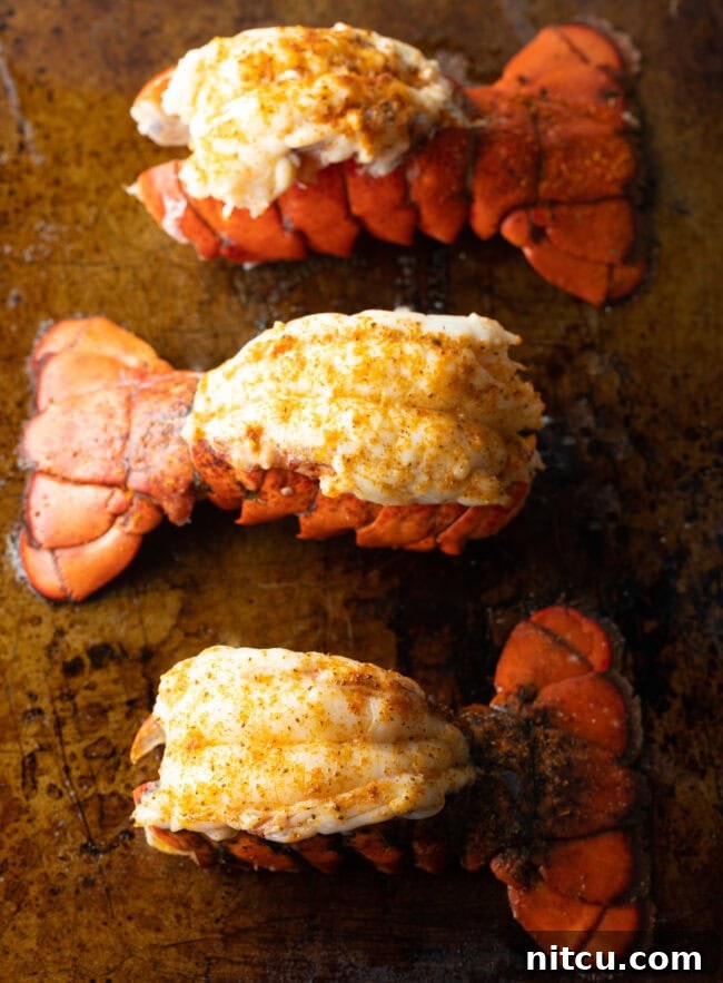 Top-down view of three plump, perfectly cooked lobster tails, arranged attractively on a baking sheet, glistening and ready to serve.