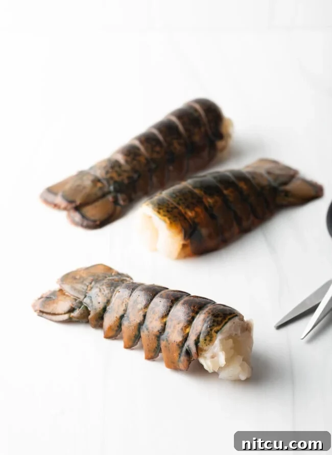 Fresh, raw lobster tail in its shell resting on a pristine white background, ready for preparation.