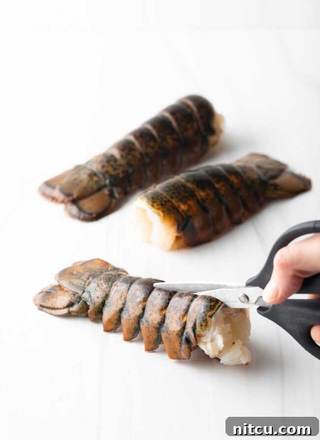Using kitchen shears to meticulously cut the lobster shell in half lengthwise, preparing it for butterflying.