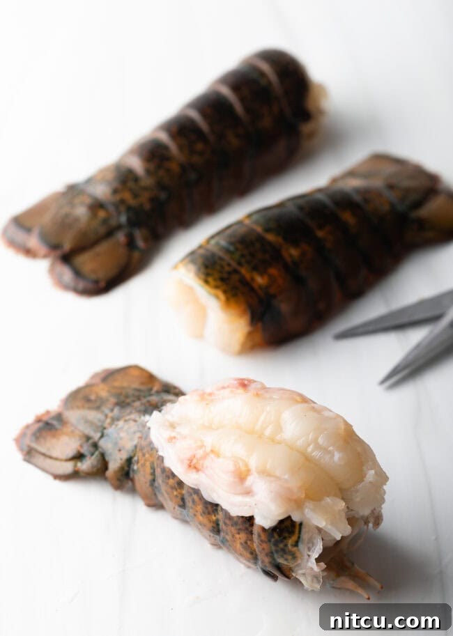 Raw lobster tail beautifully butterflied with its pristine white meat exposed and resting elegantly on top of its vibrant red shell, ready for seasoning.