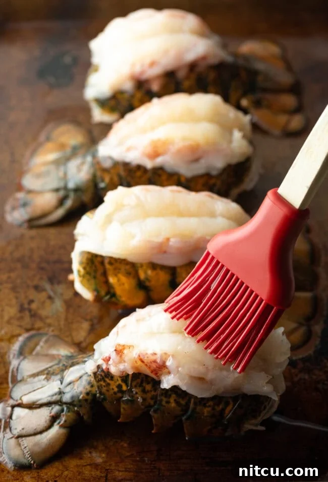 A vibrant red basting brush meticulously applying melted butter onto four meticulously prepped lobster tails, enhancing their flavor.