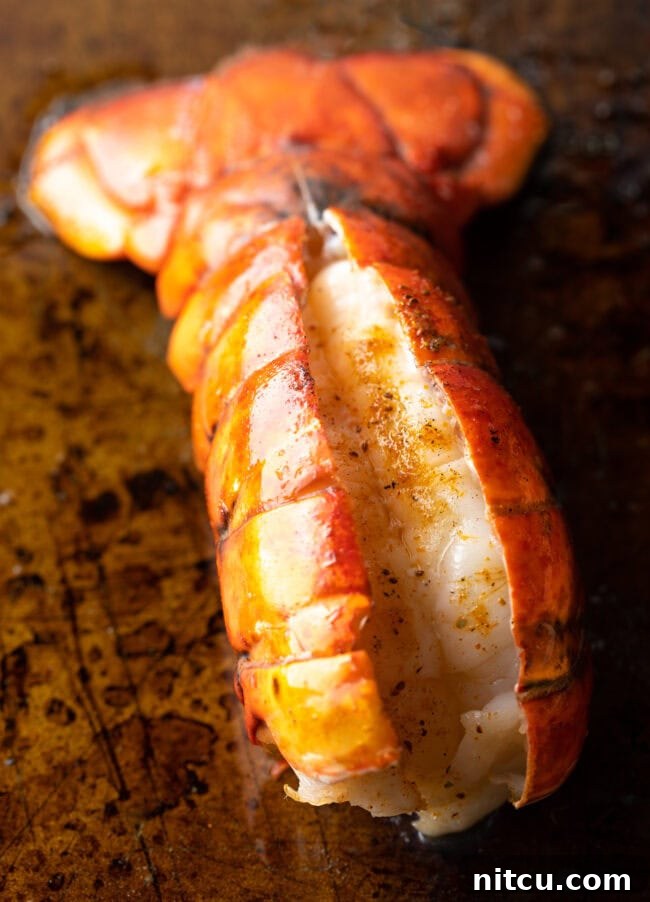A close-up view of a plump, perfectly cooked lobster tail, still in its shell, resting on a baking sheet, its rich color and tender texture evident.