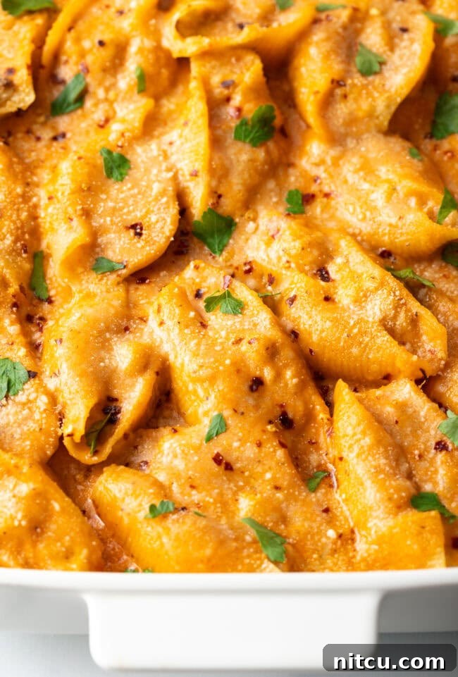 Top down view baked stuffed shells seafood pasta.
