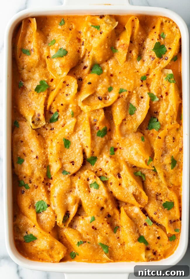 Top down view baked stuffed shells seafood pasta.