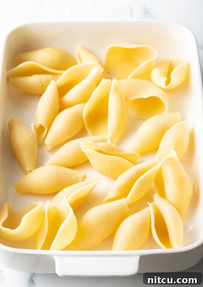 Boiled large pasta shells.